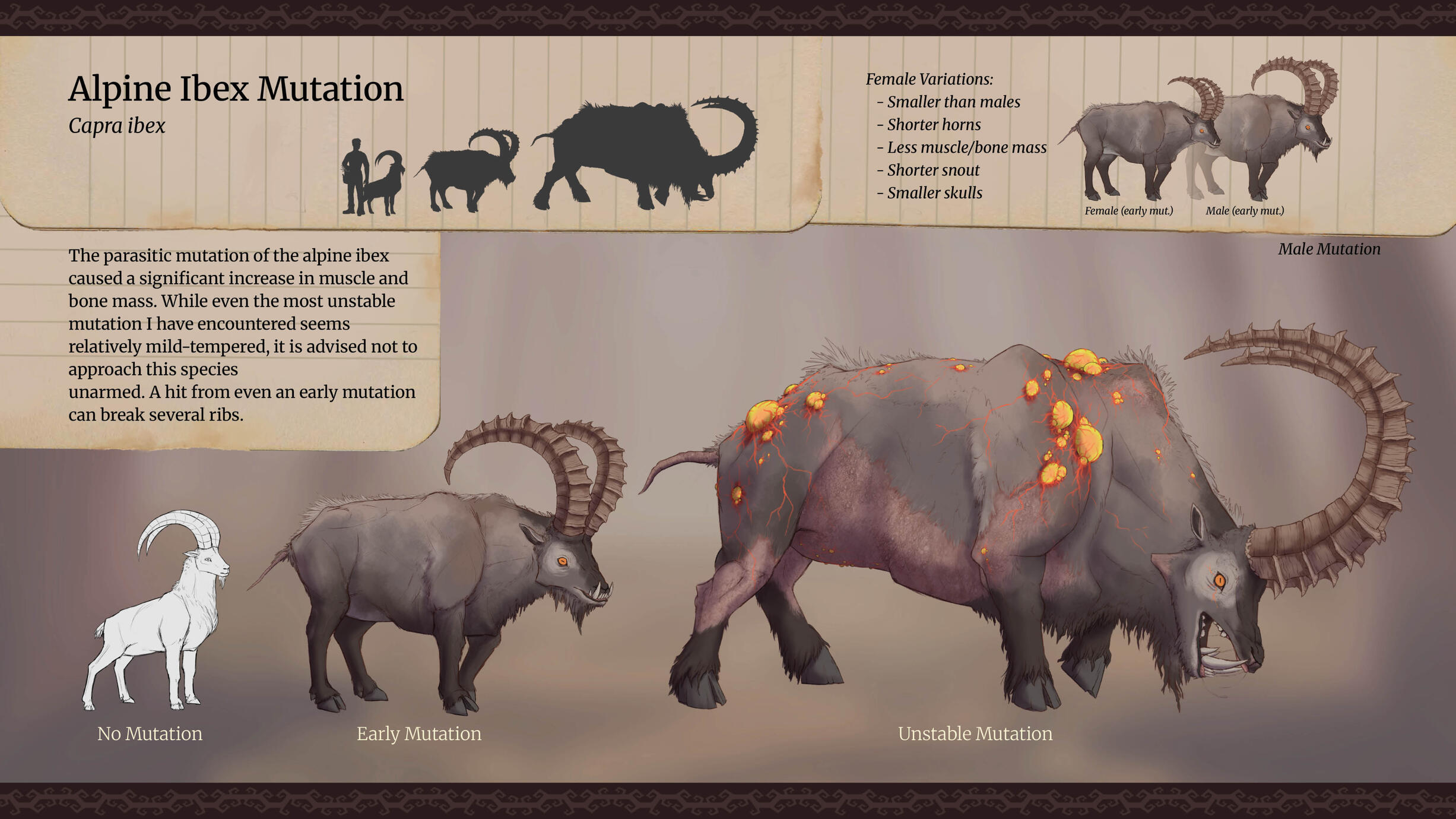Ibex Ibex