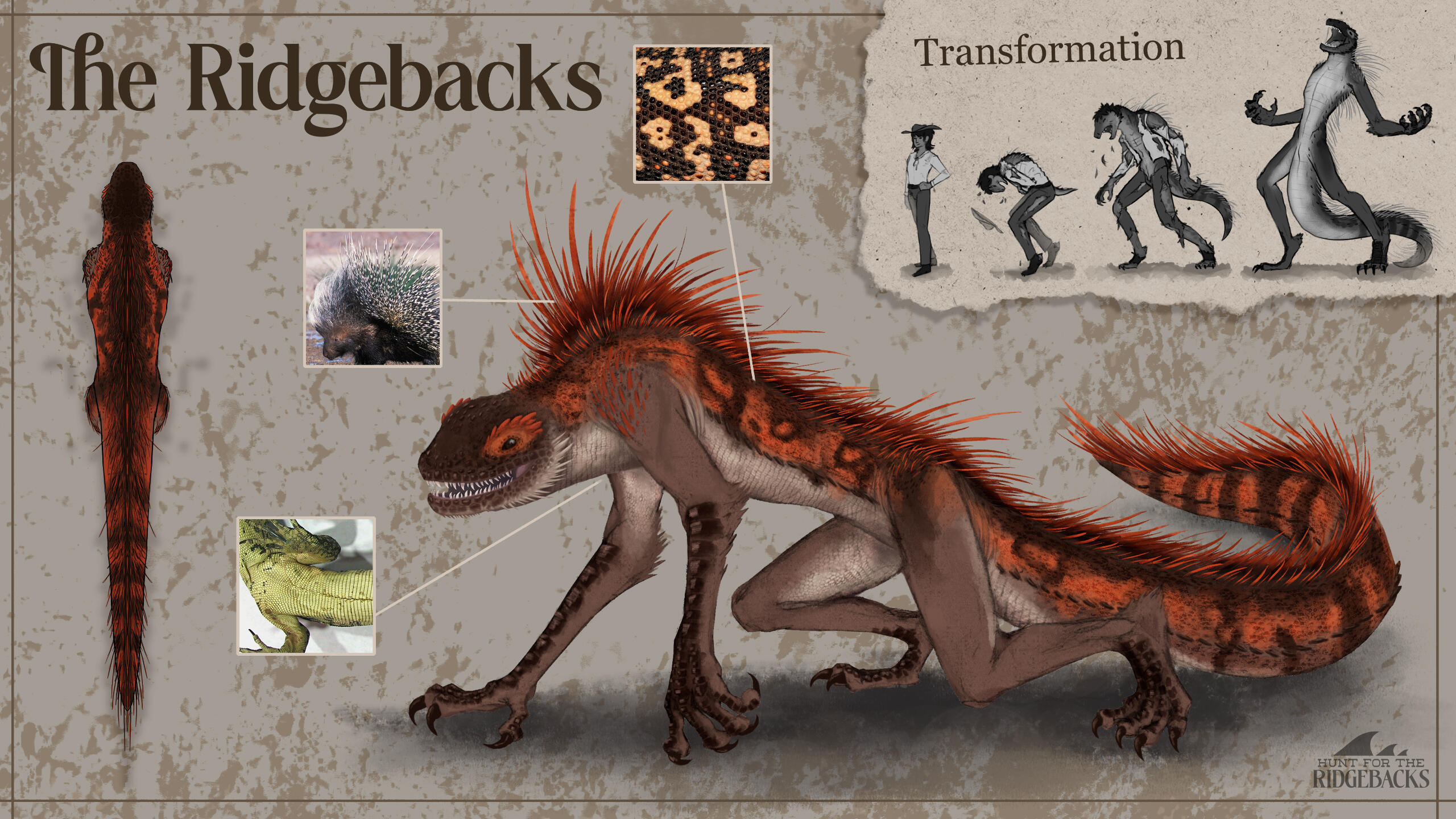 Ridgebacks Ridgebacks