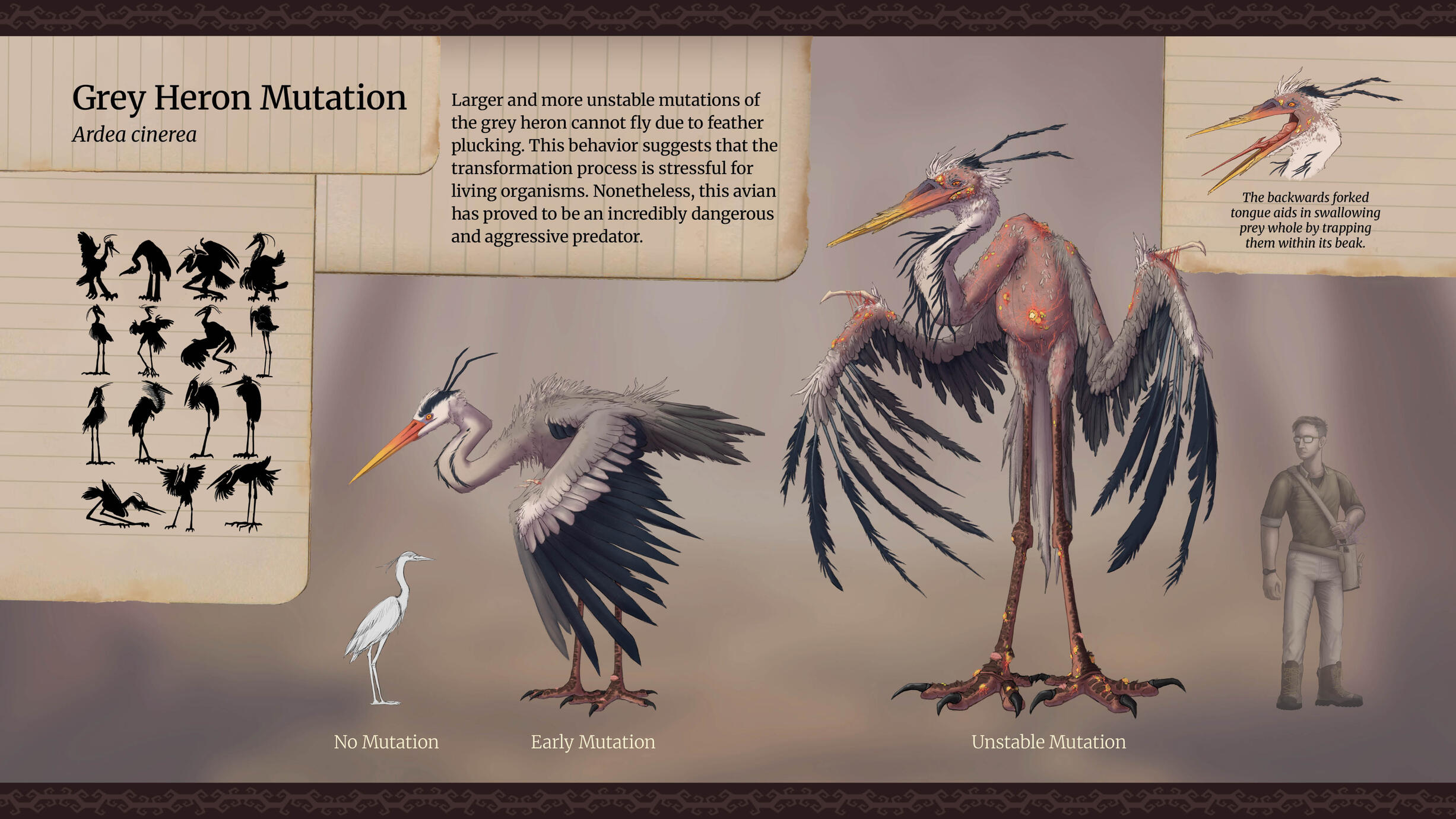 Heron Heron