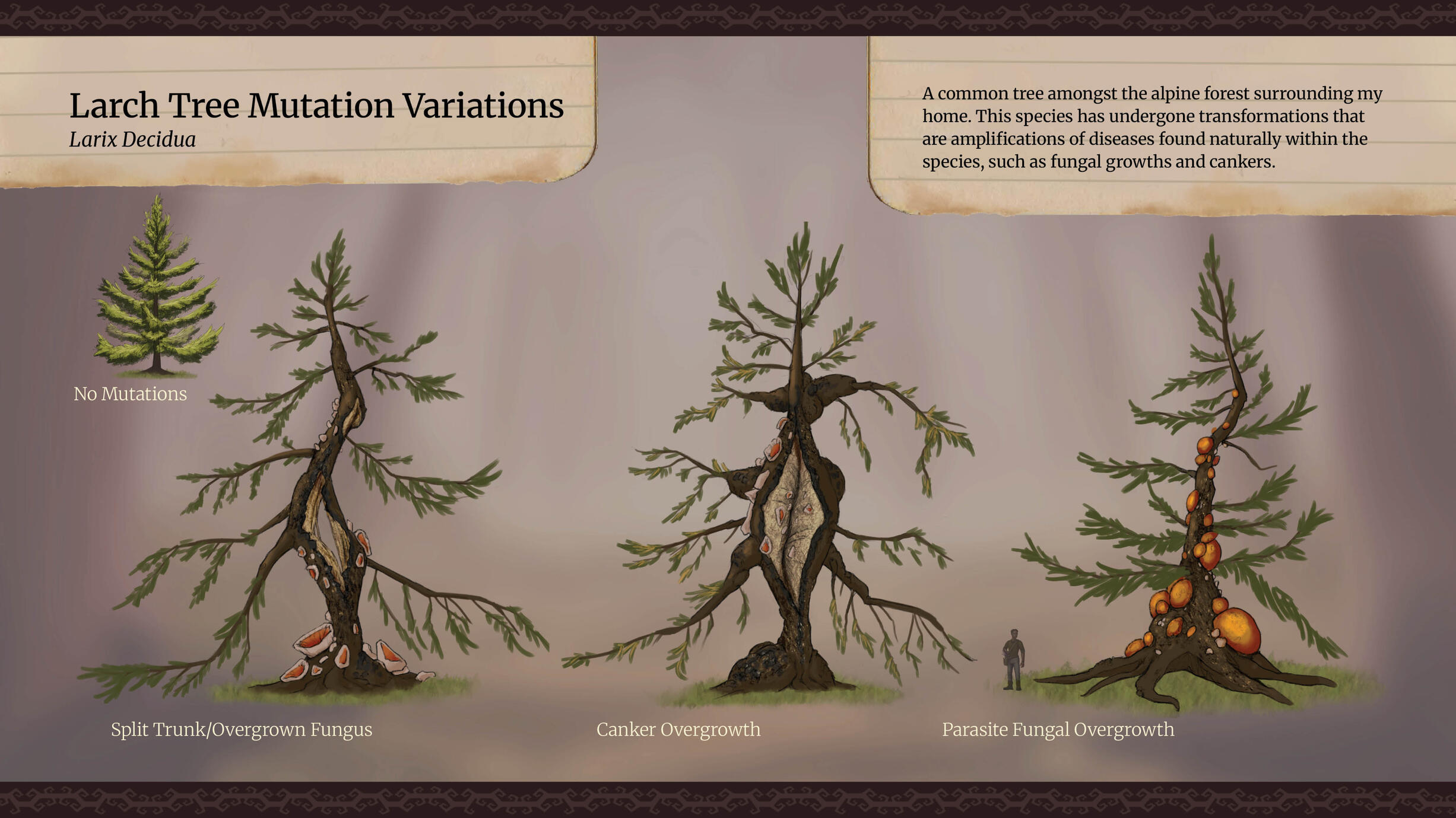 Trees Trees